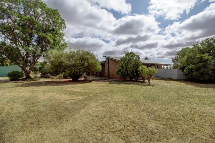 40 Twentyfourth Street, Renmark SA 5341