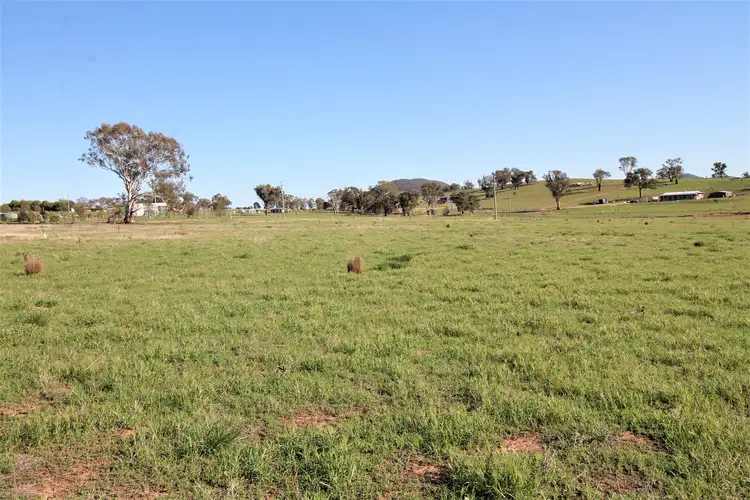 Sixth view of Homely land listing, 22 McGee Place Murringo Via, Young NSW 2594