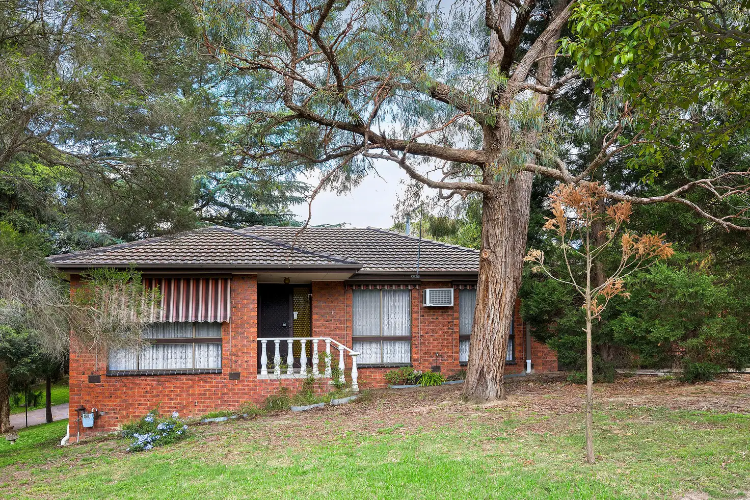 Main view of Homely unit listing, 1/3 Crest Grove, Nunawading VIC 3131