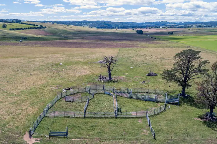 Sixth view of Homely rural property listing, 101 Nutrition Station Road, Shannon Vale NSW 2370