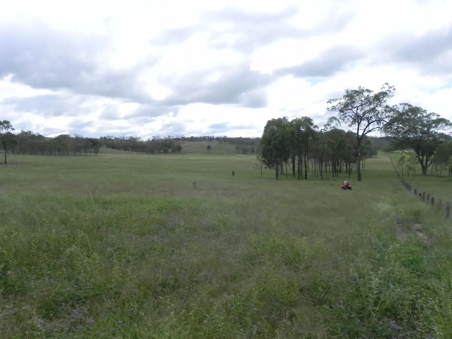 Main view of Homely rural property listing, 0 Cunningham Highway, Greymare QLD 4370