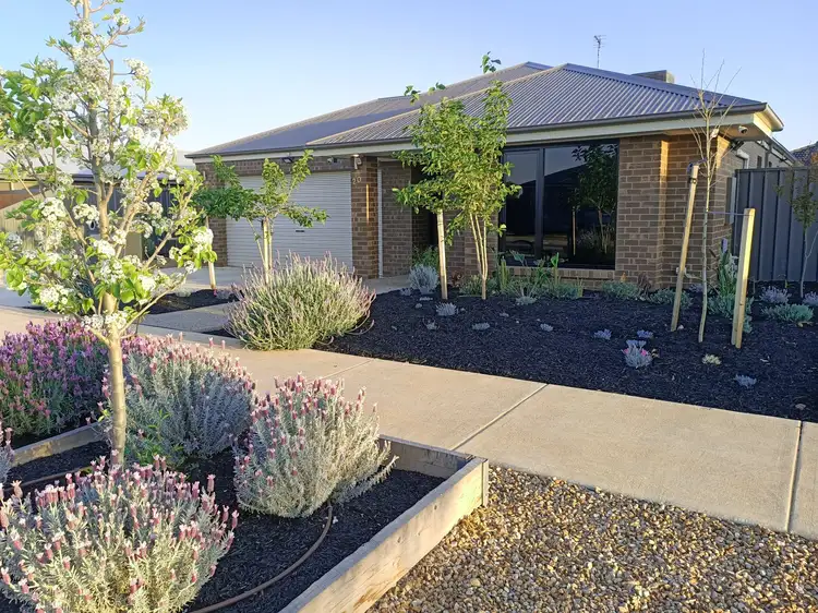 20 Cosmo Drive, Cobram VIC 3644
