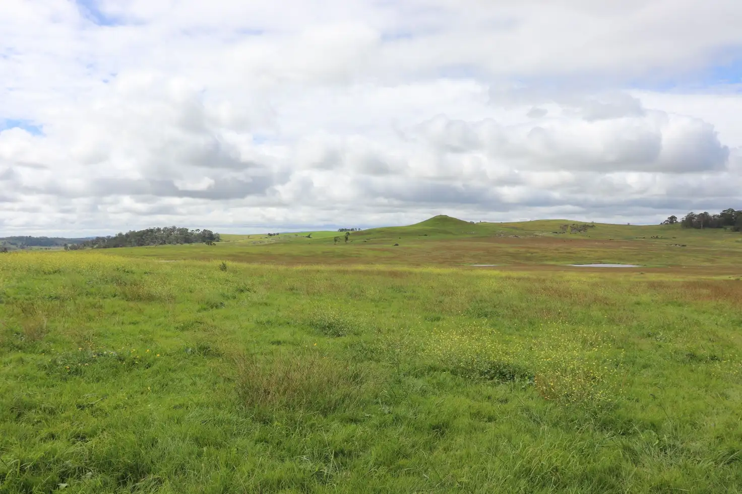 Main view of Homely rural property listing, 1279 Glen Legh Road, Glen Innes NSW 2370