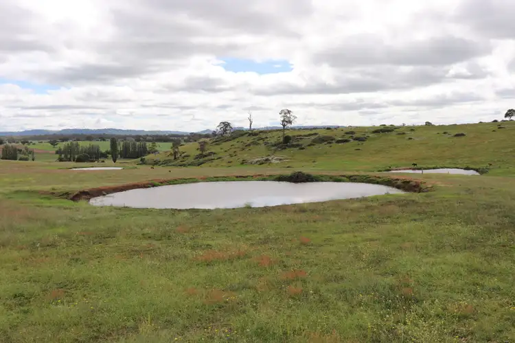 Third view of Homely rural property listing, 1279 Glen Legh Road, Glen Innes NSW 2370