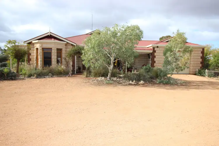 97 Pope Road, Waikerie SA 5330