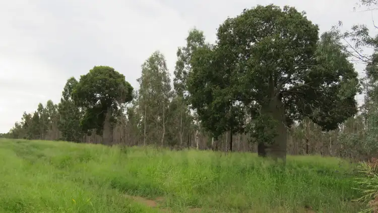 Seventh view of Homely rural property listing, Lot 23 & 24 Proston Boondooma Road, Brigooda, Proston QLD 4613