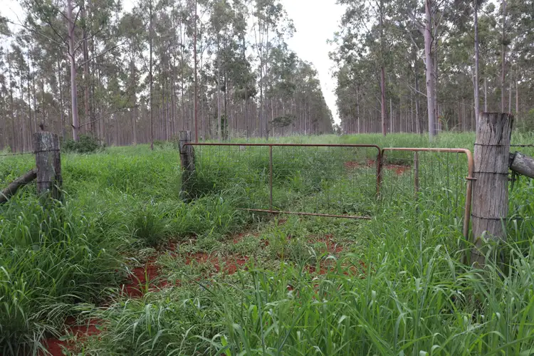 Sixth view of Homely rural property listing, 356 McLeods Road, Monto QLD 4630