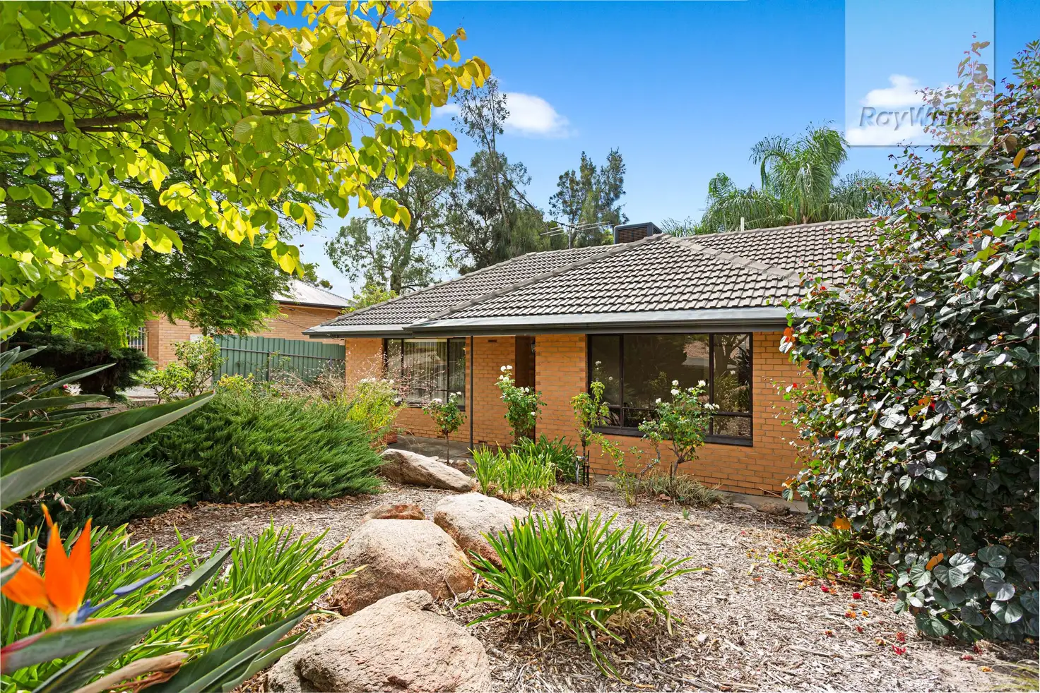 Main view of Homely house listing, 20 Cremin Street, Fairview Park SA 5126