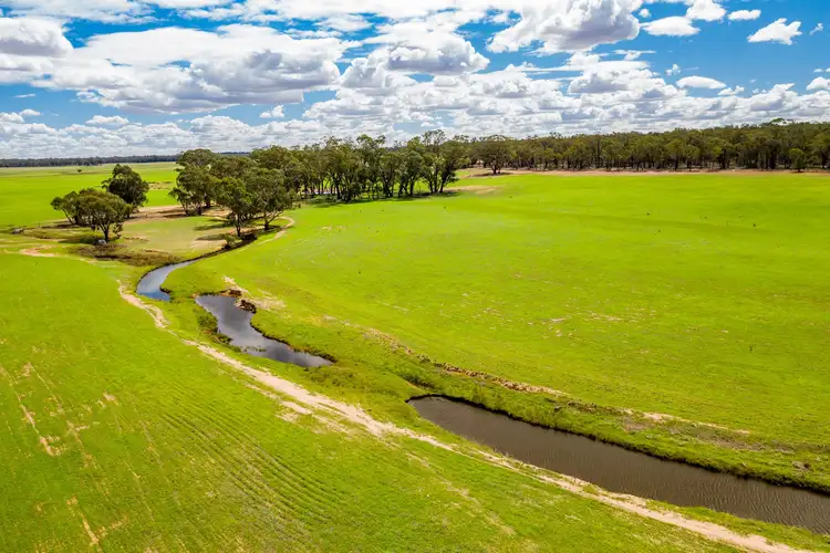 61 Rosena Road, Temora NSW 2666