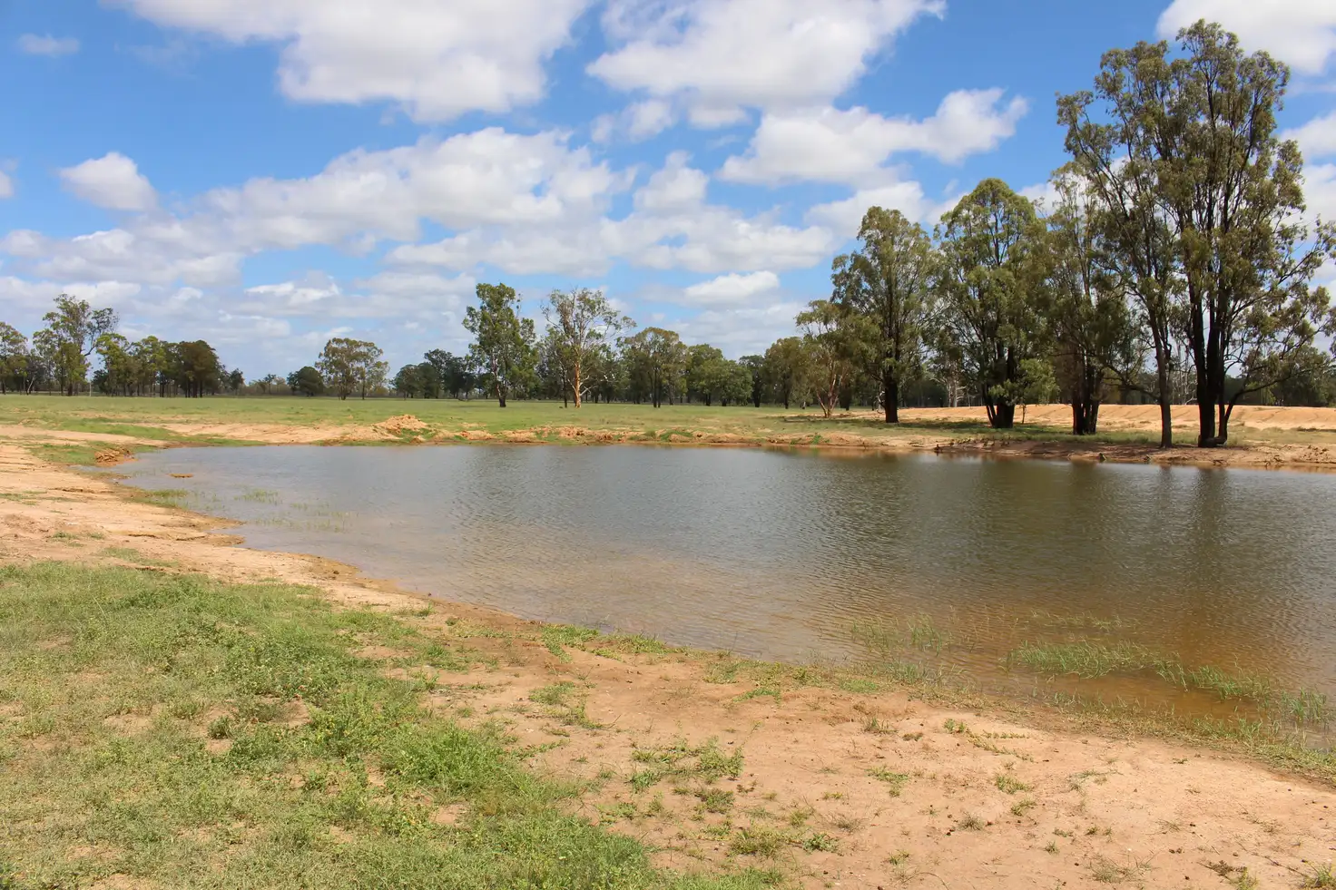 Main view of Homely rural property listing, 2811 Lockwood Rd, Kurrowah, Millmerran QLD 4357
