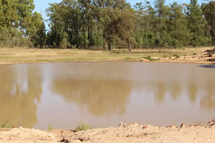 Second view of Homely rural property listing, 2811 Lockwood Rd, Kurrowah, Millmerran QLD 4357