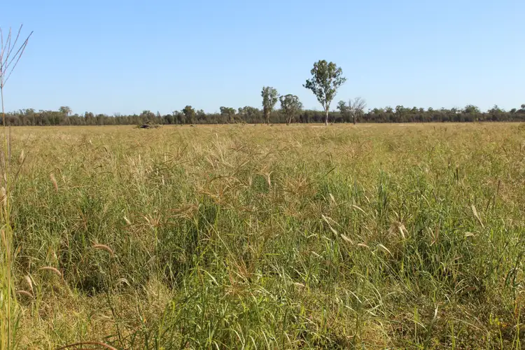 Fourth view of Homely rural property listing, 2811 Lockwood Rd, Kurrowah, Millmerran QLD 4357