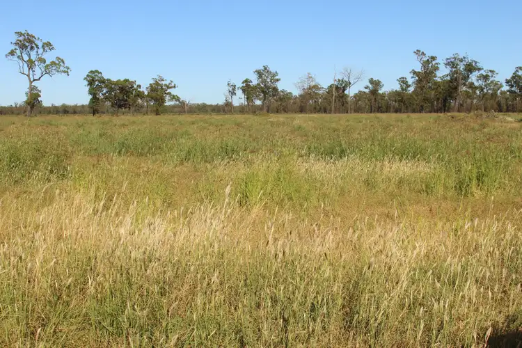 Fifth view of Homely rural property listing, 2811 Lockwood Rd, Kurrowah, Millmerran QLD 4357