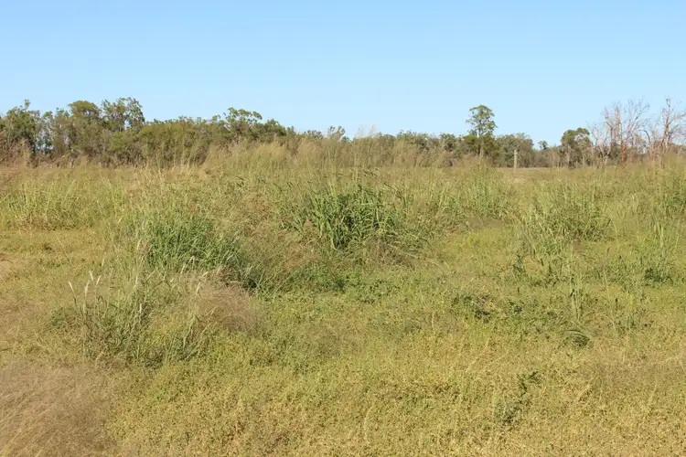 Sixth view of Homely rural property listing, 2811 Lockwood Rd, Kurrowah, Millmerran QLD 4357