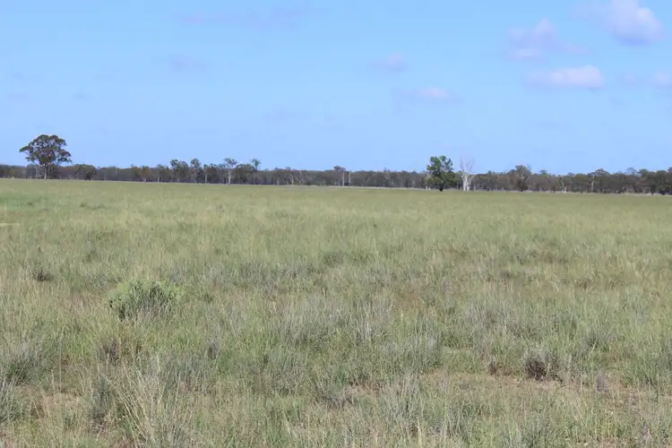 Seventh view of Homely rural property listing, 2811 Lockwood Rd, Kurrowah, Millmerran QLD 4357