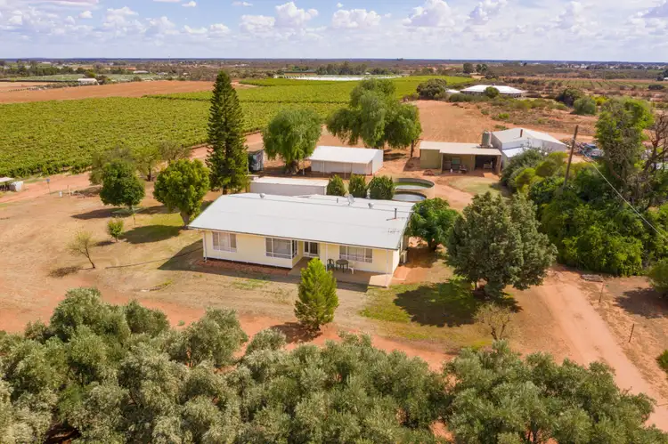 Main view of Homely house listing, 28 Old Dairtnunk Road, Irymple VIC 3498