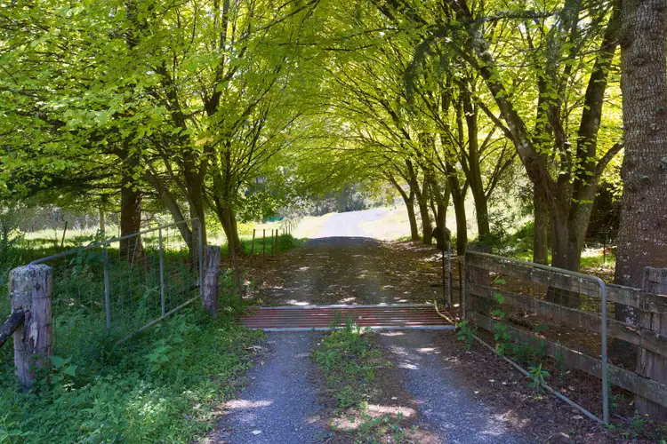 Sixth view of Homely rural property listing, 61b Priddles Lane, Berry NSW 2535