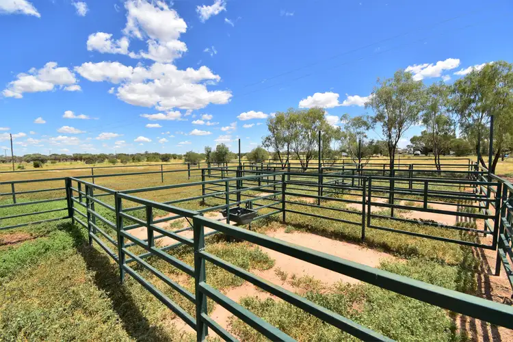 Third view of Homely rural property listing, 336 Cramsie-Muttaburra Road, Longreach QLD 4730