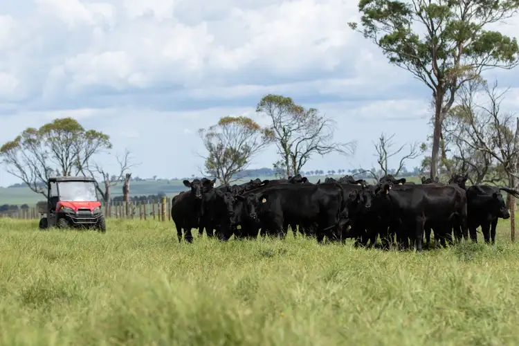 Second view of Homely rural property listing, 6004 Guyra Road, Guyra NSW 2365