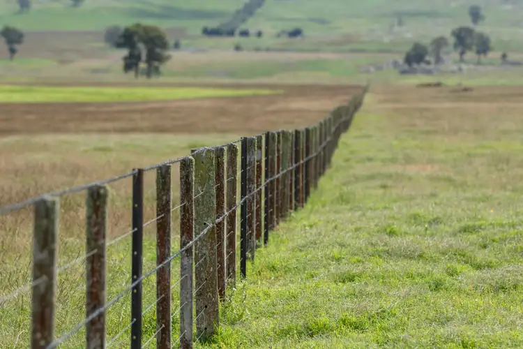 Sixth view of Homely rural property listing, 6004 Guyra Road, Guyra NSW 2365