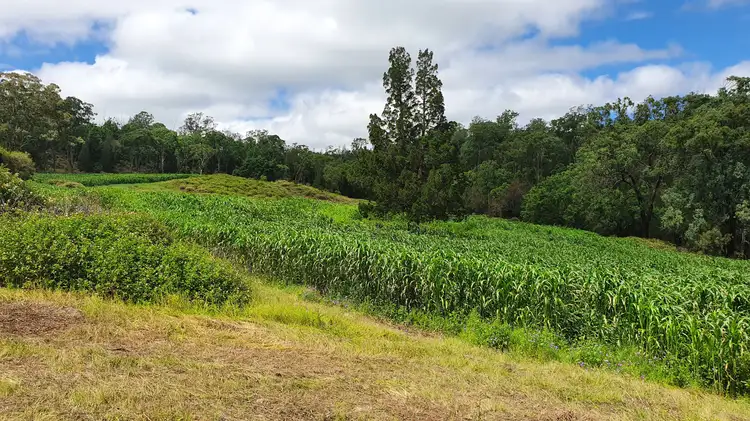 Seventh view of Homely land listing, 40 Muller Road, Thornville QLD 4352