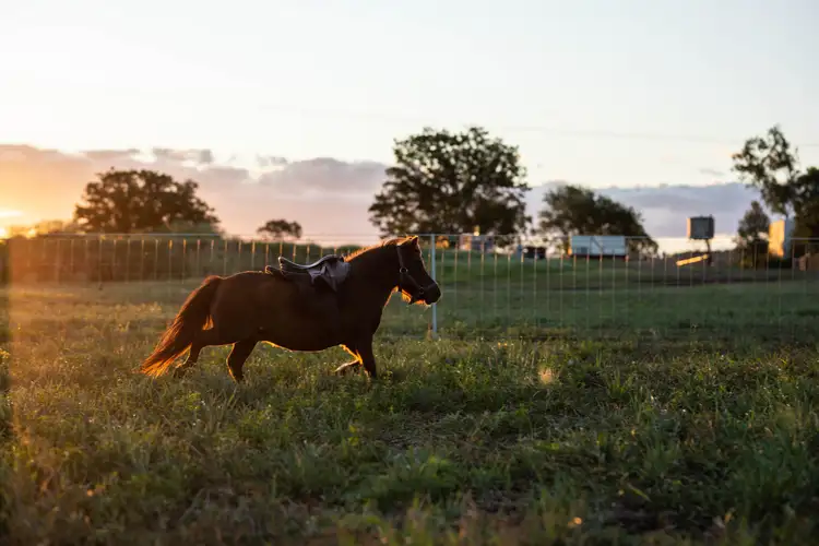 Sixth view of Homely land listing, Lot 434 Gowrie-Lilyvale Road, Gowrie Junction QLD 4352