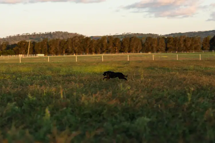 Seventh view of Homely land listing, Lot 434 Gowrie-Lilyvale Road, Gowrie Junction QLD 4352