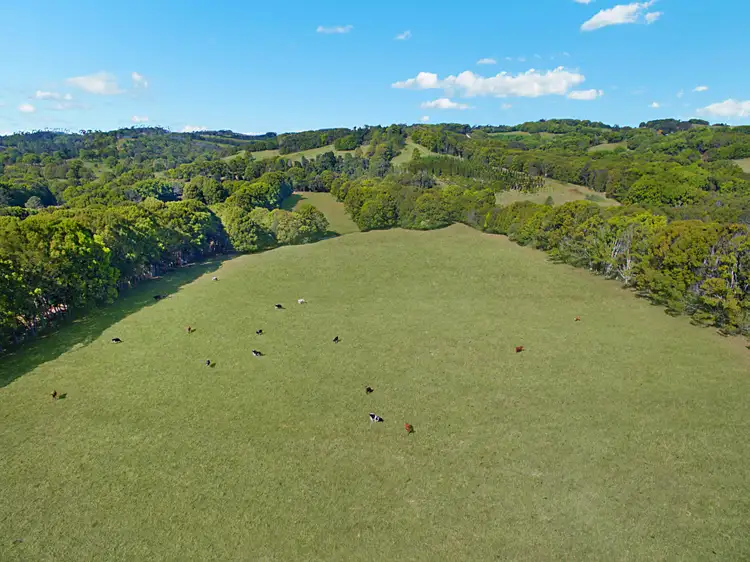 Third view of Homely rural property listing, 184 Possum Creek Road, Possum Creek NSW 2479