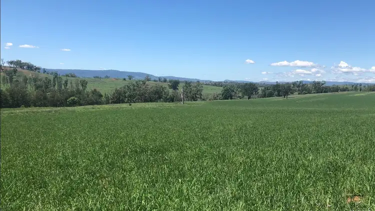 Third view of Homely rural property listing, 302 Caroda Road, Bingara NSW 2404