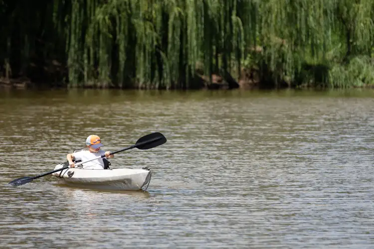 Fourth view of Homely rural property listing, 302 Caroda Road, Bingara NSW 2404