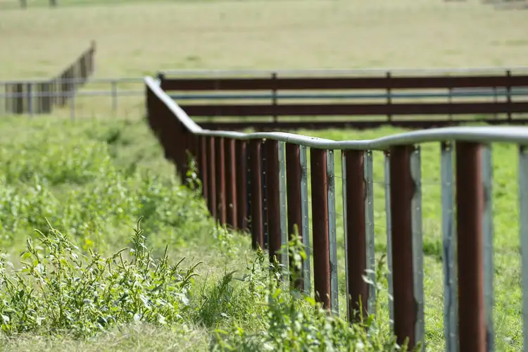 Seventh view of Homely rural property listing, 6004 Guyra Road, Guyra NSW 2365