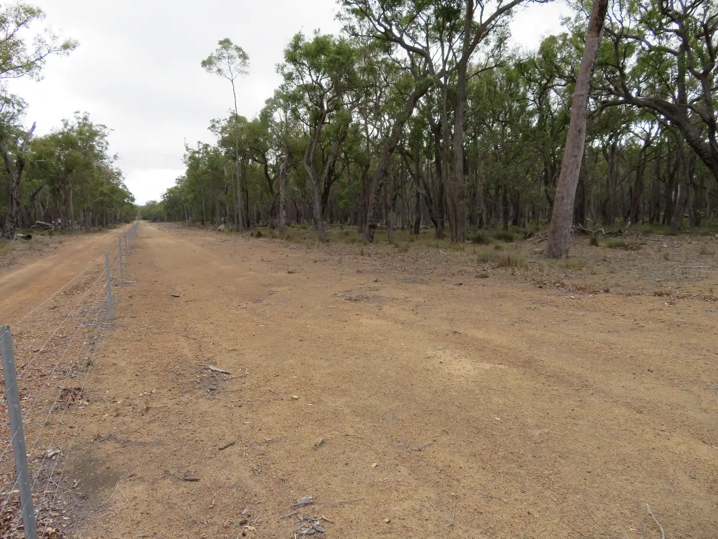 Main view of Homely land listing, Lot 665 Horne Road, Mount Barker WA 6324
