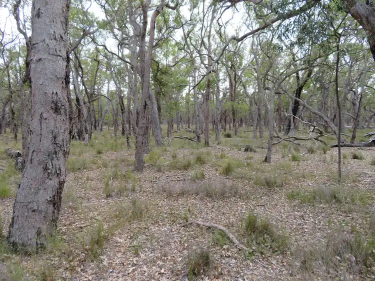 Second view of Homely land listing, Lot 665 Horne Road, Mount Barker WA 6324