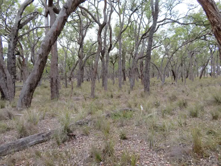 Third view of Homely land listing, Lot 665 Horne Road, Mount Barker WA 6324