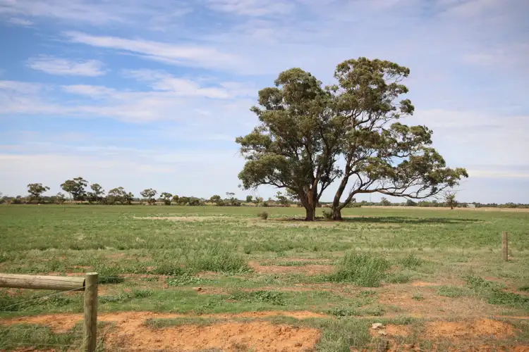 Seventh view of Homely rural property listing, 380 Diggora Road, Rochester VIC 3561