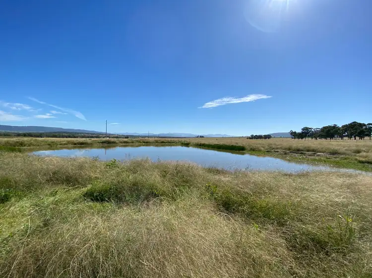 Main view of Homely rural property listing, 115 Milford Hills Lane, Scone NSW 2337