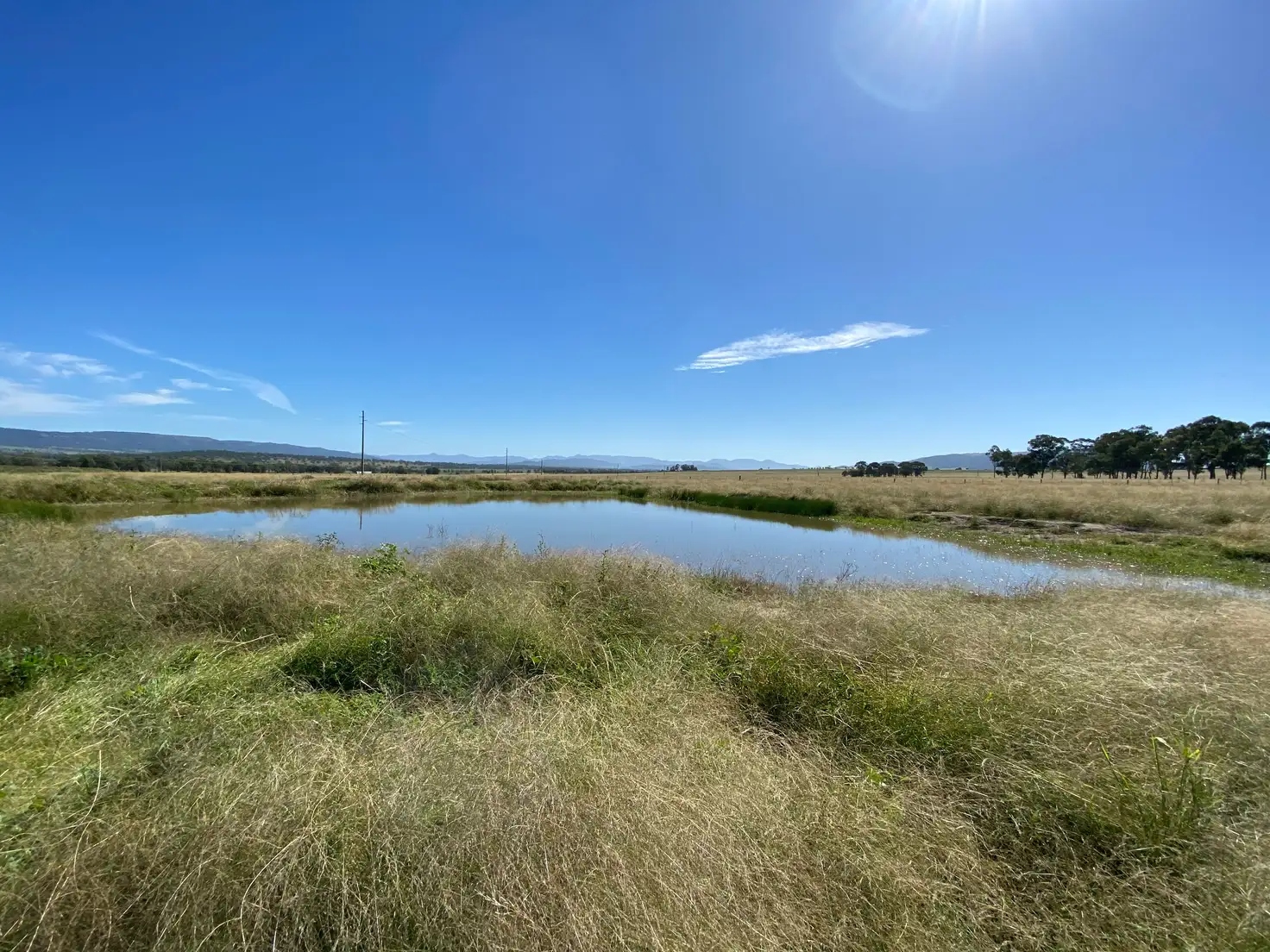Main view of Homely rural property listing, 115 Milford Hills Lane, Scone NSW 2337