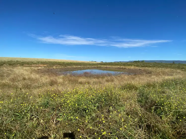 Third view of Homely rural property listing, 115 Milford Hills Lane, Scone NSW 2337