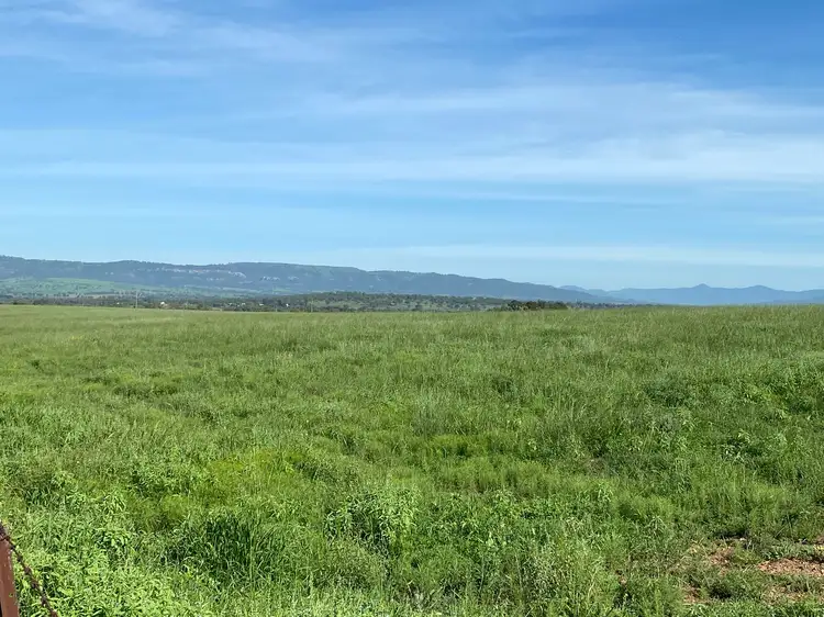 Seventh view of Homely rural property listing, 115 Milford Hills Lane, Scone NSW 2337