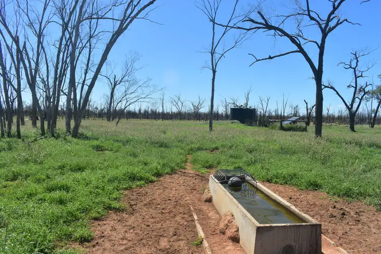 Seventh view of Homely rural property listing, 54726 Capricorn Highway, Barcaldine QLD 4725