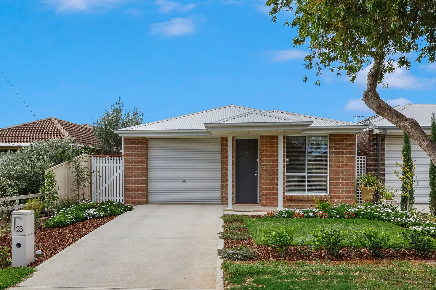 Main view of Homely house listing, 23 Tallack Street, Windsor Gardens SA 5087
