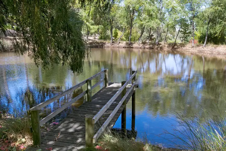Main view of Homely rural property listing, 300 Mount Gawler Road, Inglewood SA 5133