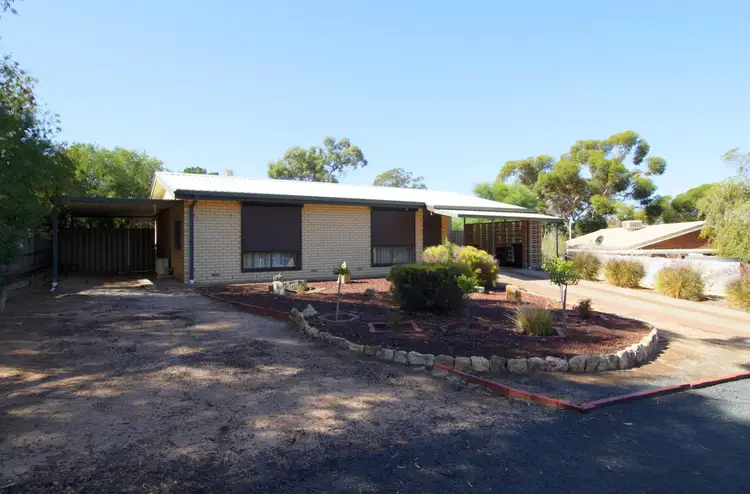12 Vivian Cock Street, Berri SA 5343
