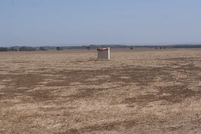 Sixth view of Homely rural property listing, Lot 1307 Yardarino Road, Dongara WA 6525