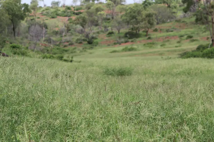 Second view of Homely rural property listing, Address available on request