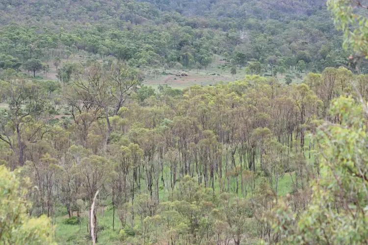 Fifth view of Homely rural property listing, Address available on request