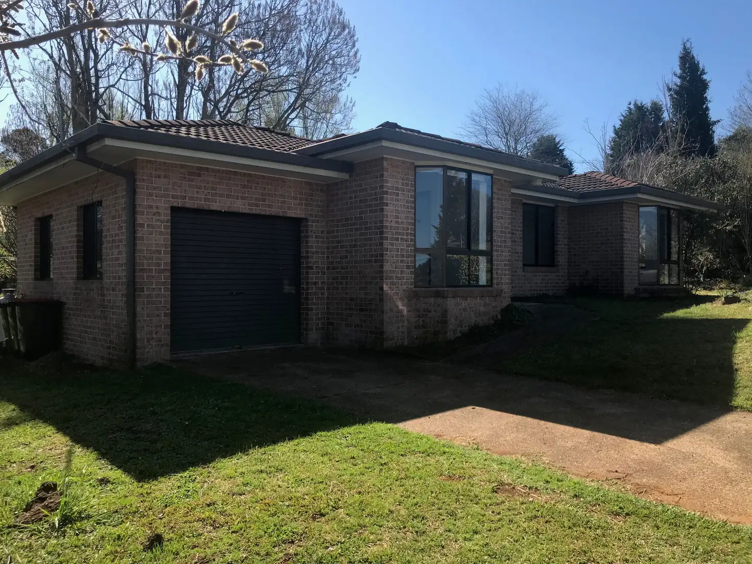 Main view of Homely house listing, 16 Elm Avenue, Dorrigo NSW 2453