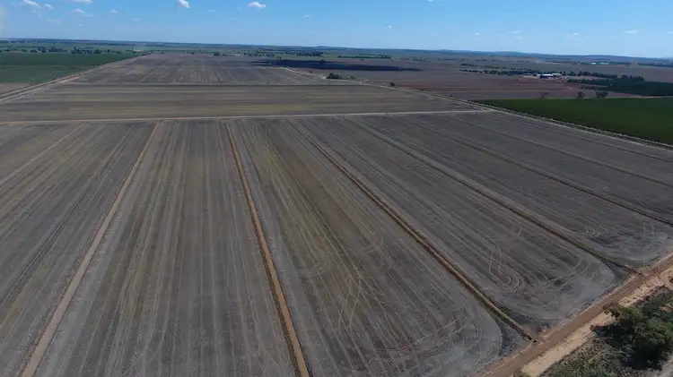 Seventh view of Homely rural property listing, 166 Collins Road, Leeton NSW 2705