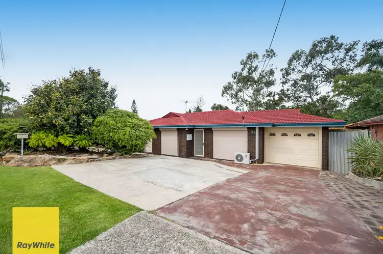 Main view of Homely house listing, 99 Waddington Crescent, Koondoola WA 6064