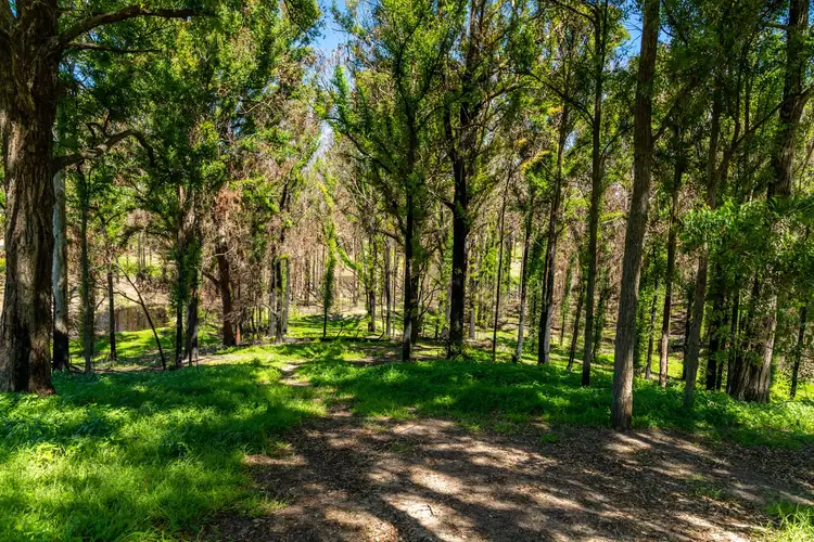 Main view of Homely land listing, 41 Ridge Avenue, Malua Bay NSW 2536